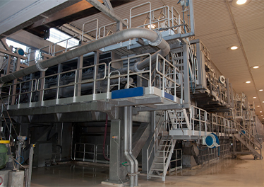 Paper Industry (Domestic)