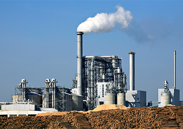 Paper Industry (Overseas)
